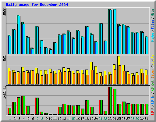 Daily usage for December 2024