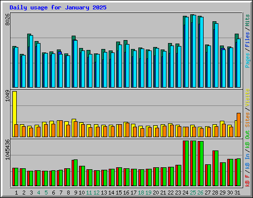 Daily usage for January 2025