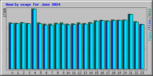 Hourly usage for June 2024