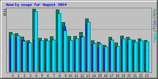 Hourly usage for August 2024