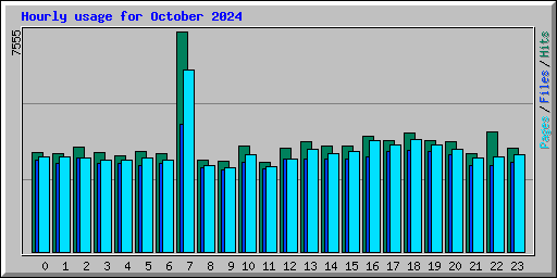 Hourly usage for October 2024