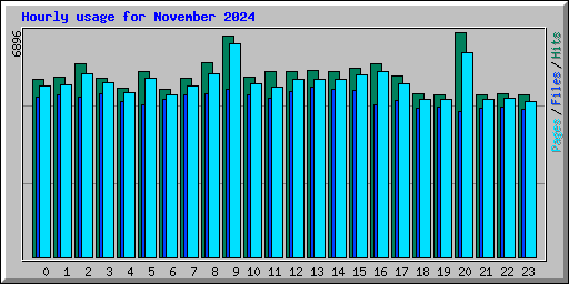 Hourly usage for November 2024
