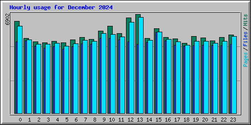 Hourly usage for December 2024