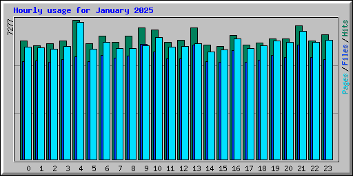 Hourly usage for January 2025