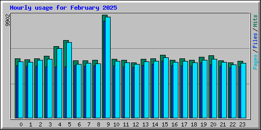 Hourly usage for February 2025