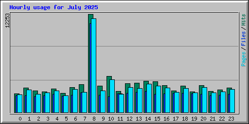 Hourly usage for July 2025