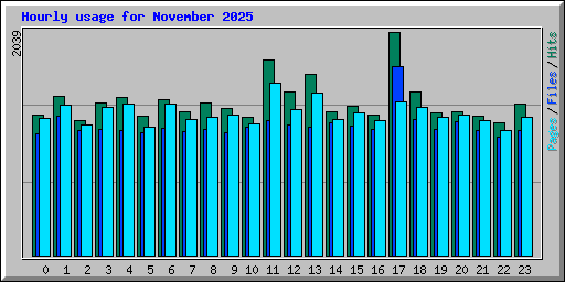 Hourly usage for November 2025