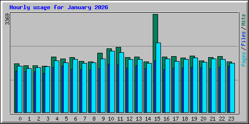 Hourly usage for January 2026